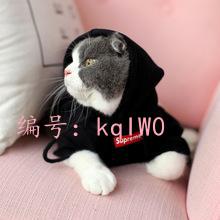 ЧӦ