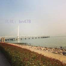 ̬