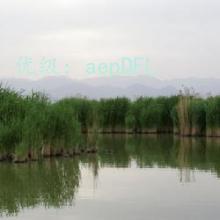 ĺ֮