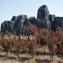 ζ