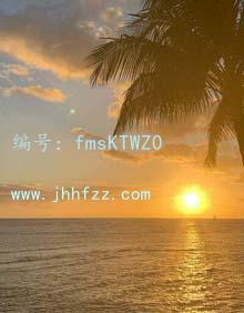 ζ