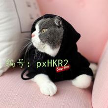 Χ