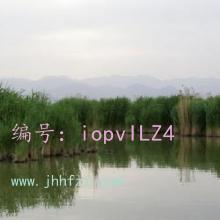 ĺ֮